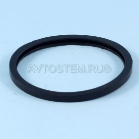 Изображение кольцо уплотнительное термостата для а/м газ 3110/3302 raddo/ртиавто от Автостем